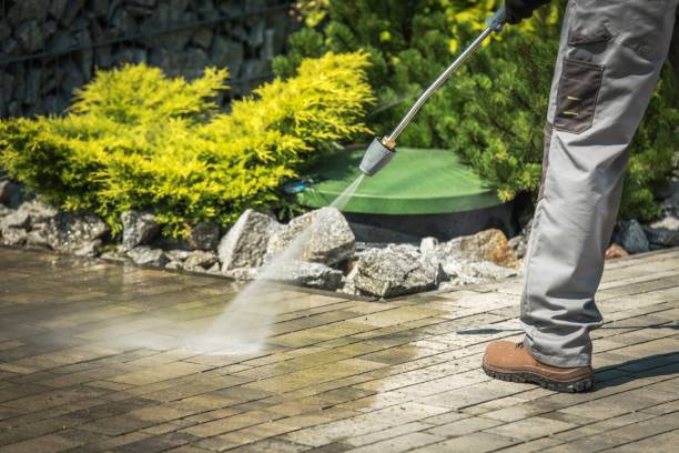 Best Dumpster Area Cleaning  in Cordova, NC