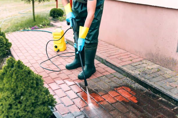 Best Roof Washing  in Cordova, NC